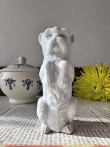 画像: フランス  前足をあげて立ち上がる わんちゃん